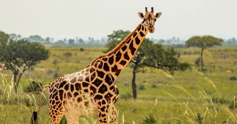 Best Family-Friendly Things to Do in Los Angeles with Kids
